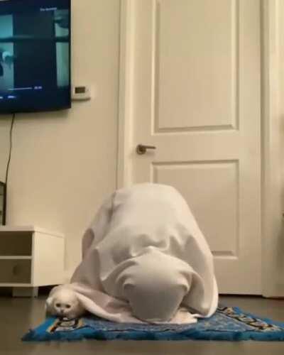 This criminal is going to hell for its sins