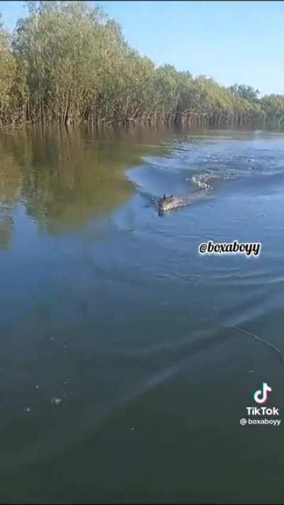 Just another day fishing and admiring the wildlife