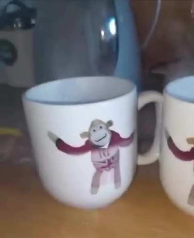 Losercity absolute classic