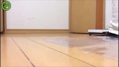 I made something, probably has been done before