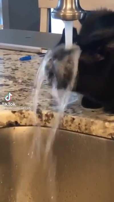 To drink water