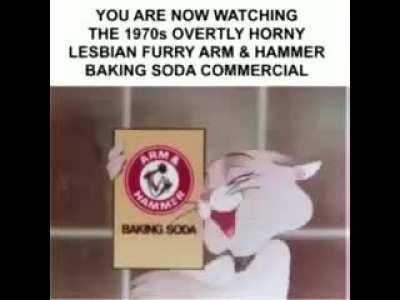 thanks arm and hammer