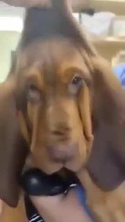 Oh shit when did we get here?