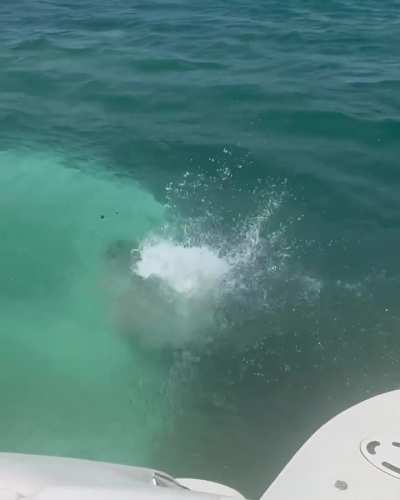 Shenseea is fine as hell⏳