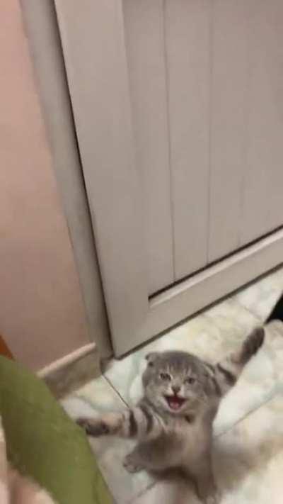 Hanging with the laundry