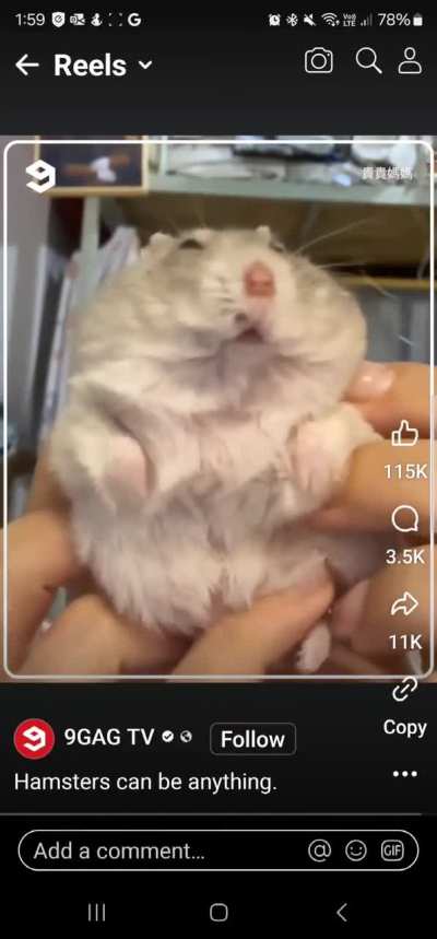 They can be everything