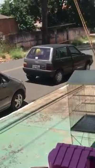 Does “idiots on motorcycles” count?