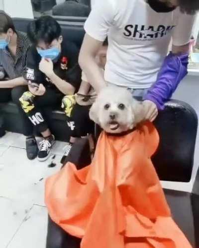 Don’t cut it too short!