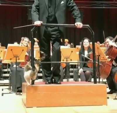 MC disrupts an orchestra to get all the attention on them