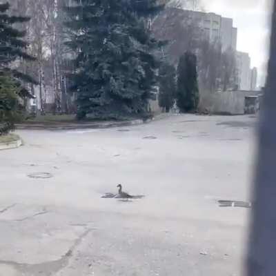 He just sits there...