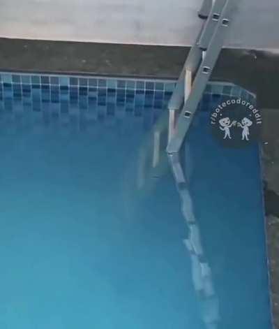 Pq os homens vivem menos?