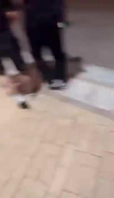 蔡徐坤澳门演唱会门票1块钱一张