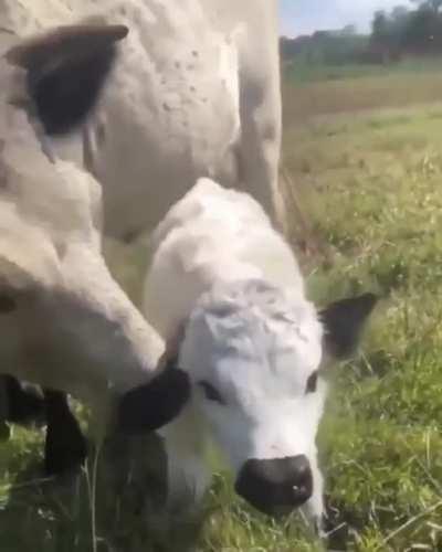 What a happy family ❤️