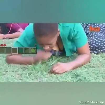 Novo espécime de homojegueisjumentines surgiu...