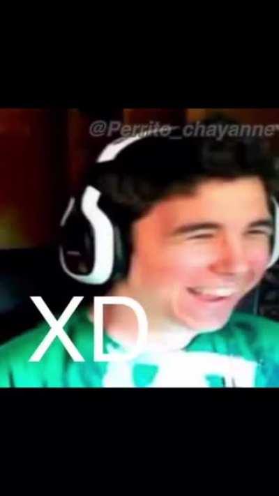porfa vor willyrex
