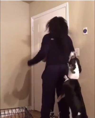 Locked Her Ass In, Pull Up Gone Wrong.