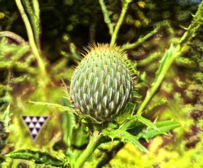 It’s the little things