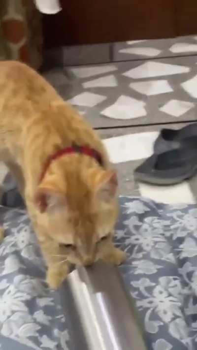 try walk() catch{ user }
