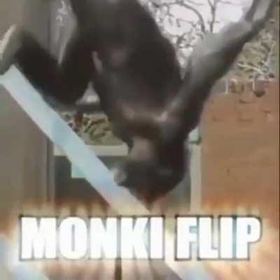 Momento jodidamente épico