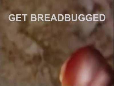 get breadbugged