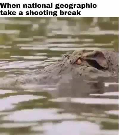 Morning Al, Morning Sam