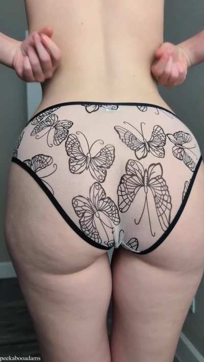 Lovely snaps for my lovely butterflies