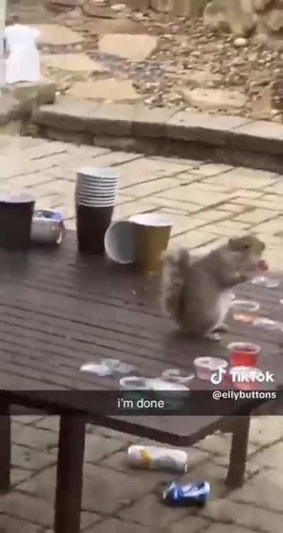 Disgusting Fat Squirrel Does Shot 
