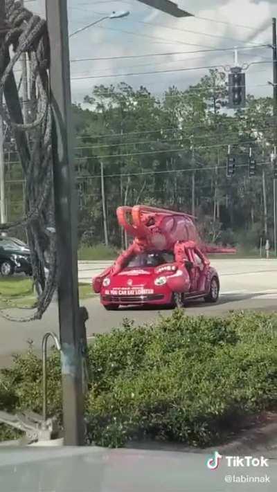 Shrimp Car