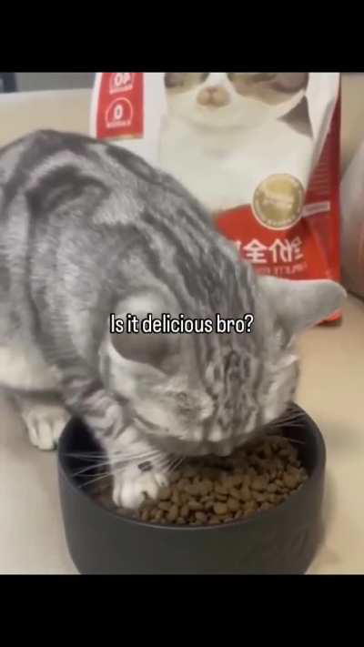 Chill, bro, its all yours