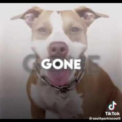 Well it’s gone, it’s gone, it’s goooooooone