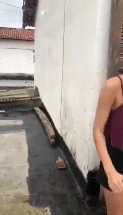 Girl who talked shit on social media gets the Brazilian stick treatment.