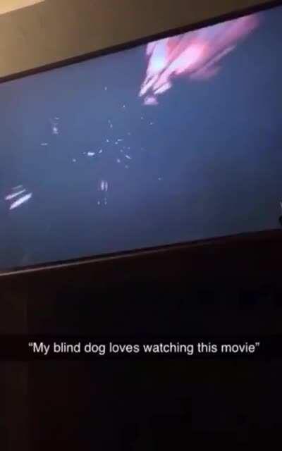 he loves it, i can confirm