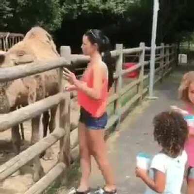 Selfie with a camel