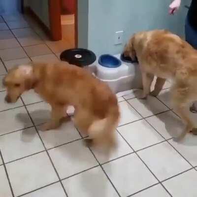 I can’t tell if he’s hungry