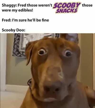 I fucking hate my life everything about it sucks