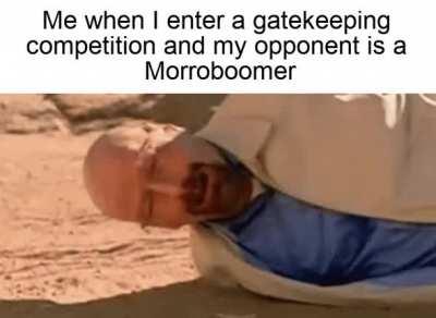 Oh you play Morrowind modded??