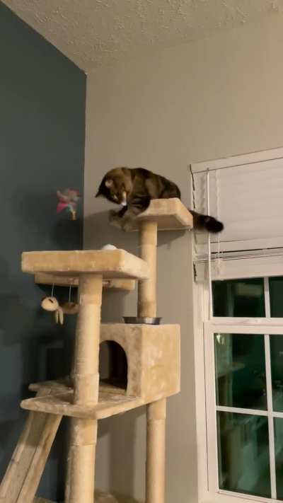 Top tier toy tactics