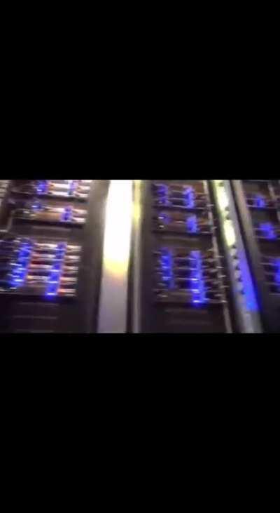 rodentintercourse - Video #9851