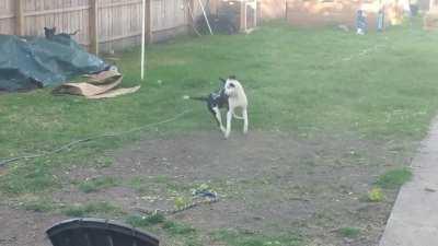 I've no idea what he's looking at but you cannot argue with those moves.