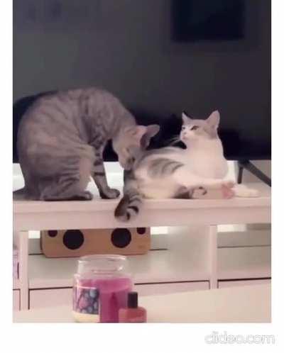 let me have a piece of that