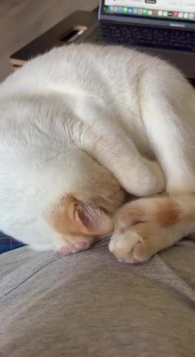 Why is she hiding from me?