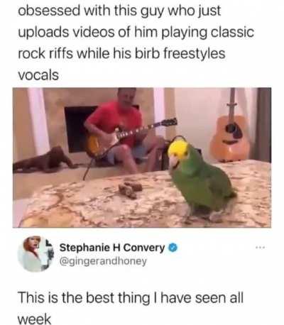 Little birdy, I love thee <3