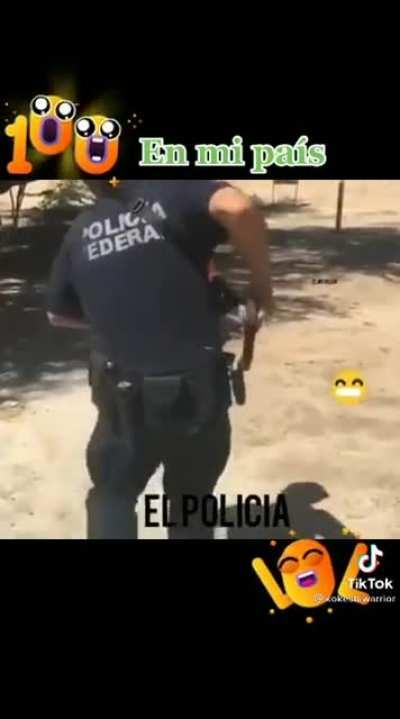 TikTok always has the best ones