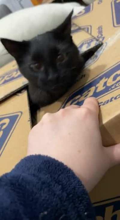 Sorry I touched your box