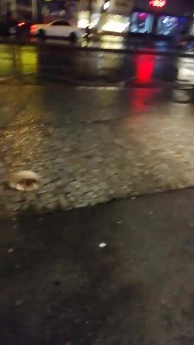 Hihi look there! ... oh... oha...wtf!