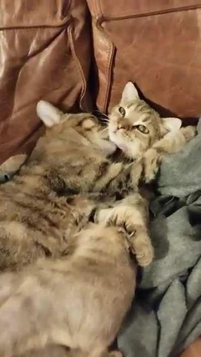 Brother resigned to his fate