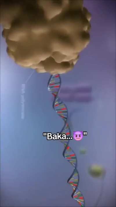 Transcription revise karlo retards