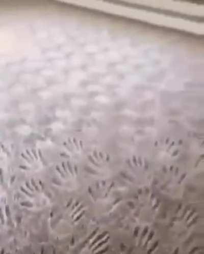 Leaving your hand prints all over the carpet