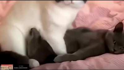 Thanks, I hate my laundry day again