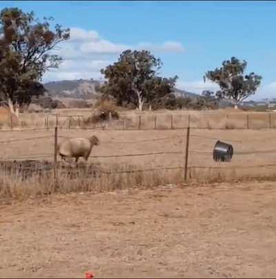 Your own attack can be your worst enemy